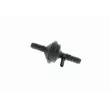 VAICO V10-1049 - Valve, controle d'air-air d'admission