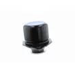 VAICO V10-1108 - Support moteur avant gauche