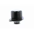 VAICO V10-1108 - Support moteur avant gauche