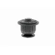 VAICO V10-1109 - Support moteur