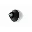 VAICO V10-1157 - Support moteur avant gauche