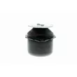 VAICO V10-1176 - Support moteur avant gauche