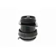 VAICO V10-1177 - Support moteur avant droit