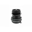 VAICO V10-1177 - Support moteur avant droit