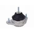 VAICO V10-1196 - Support moteur avant gauche
