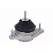 VAICO V10-1196 - Support moteur avant gauche
