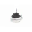 VAICO V10-1196 - Support moteur avant gauche