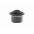 VAICO V10-1270 - Butée élastique, suspension du moteur
