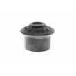 VAICO V10-1270 - Butée élastique, suspension du moteur