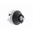 VAICO V10-1278 - Support moteur
