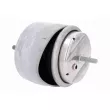 VAICO V10-1280 - Support moteur avant gauche