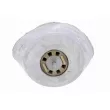 VAICO V10-1280 - Support moteur avant gauche