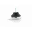 VAICO V10-1287 - Support moteur avant droit
