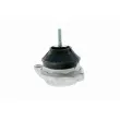 VAICO V10-1288 - Support moteur avant droit