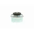 VAICO V10-1323 - Support moteur avant droit