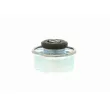 VAICO V10-1323 - Support moteur avant droit