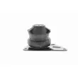 VAICO V10-1425 - Support moteur avant droit