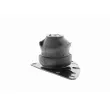 VAICO V10-1425 - Support moteur avant droit