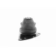 VAICO V10-1425 - Support moteur avant droit