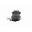 VAICO V10-1425 - Support moteur avant droit