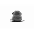 VAICO V10-1425 - Support moteur avant droit