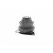 VAICO V10-1425 - Support moteur avant droit