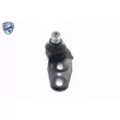 VAICO V10-1469 - Rotule de suspension avant droit