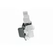 VAICO V10-1479 - Support moteur avant gauche