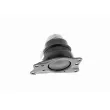VAICO V10-1643 - Support moteur avant droit