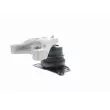 VAICO V10-1645 - Support moteur avant droit