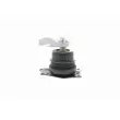 VAICO V10-1645 - Support moteur avant droit