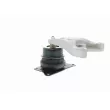VAICO V10-1645 - Support moteur avant droit