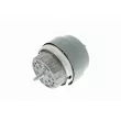 VAICO V10-1677 - Support moteur avant gauche