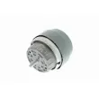 VAICO V10-1677 - Support moteur avant gauche