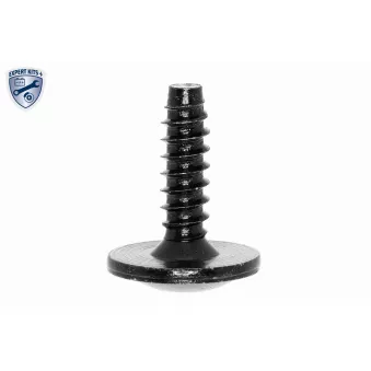 Boulon VAICO OEM 4B0810172B