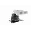 VAICO V10-2134 - Support moteur avant droit