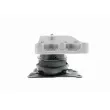 VAICO V10-2134 - Support moteur avant droit