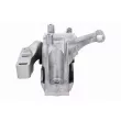 VAICO V10-2330 - Support moteur avant droit