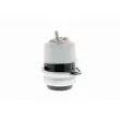 VAICO V10-2331 - Support moteur avant droit