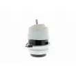 VAICO V10-2331 - Support moteur avant droit