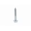 VAICO V10-2545 - Boulon