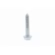 VAICO V10-2545 - Boulon