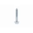 VAICO V10-2545 - Boulon