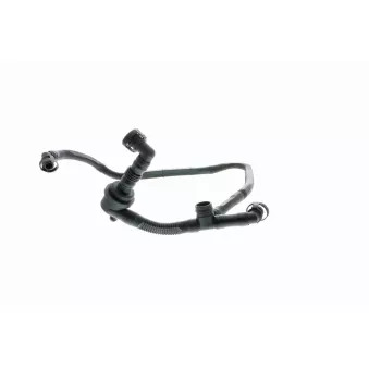 Tuyau, ventilation de carter-moteur VAICO OEM 078103224M