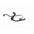 VAICO V10-2677 - Tuyau, ventilation de carter-moteur