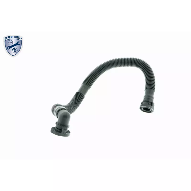 Tuyau, ventilation de carter-moteur VAICO V10-2779 - Visuel 1