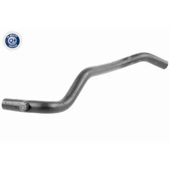 VAICO V10-2799 - Durite de radiateur