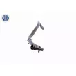 VAICO V10-2823 - Durite de radiateur