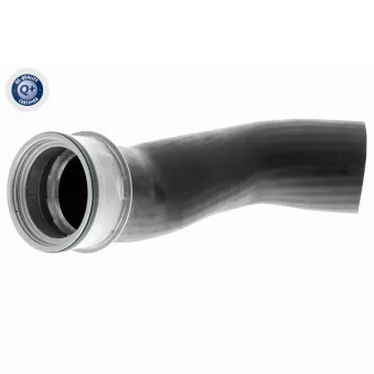 Gaine de suralimentation VAICO OEM 7E0145790