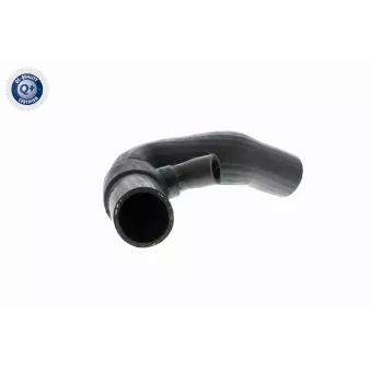 Gaine de suralimentation VAICO OEM 4B0145832B